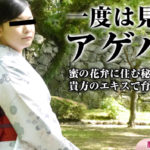 中井智子【和服の似合うアゲハ蝶】